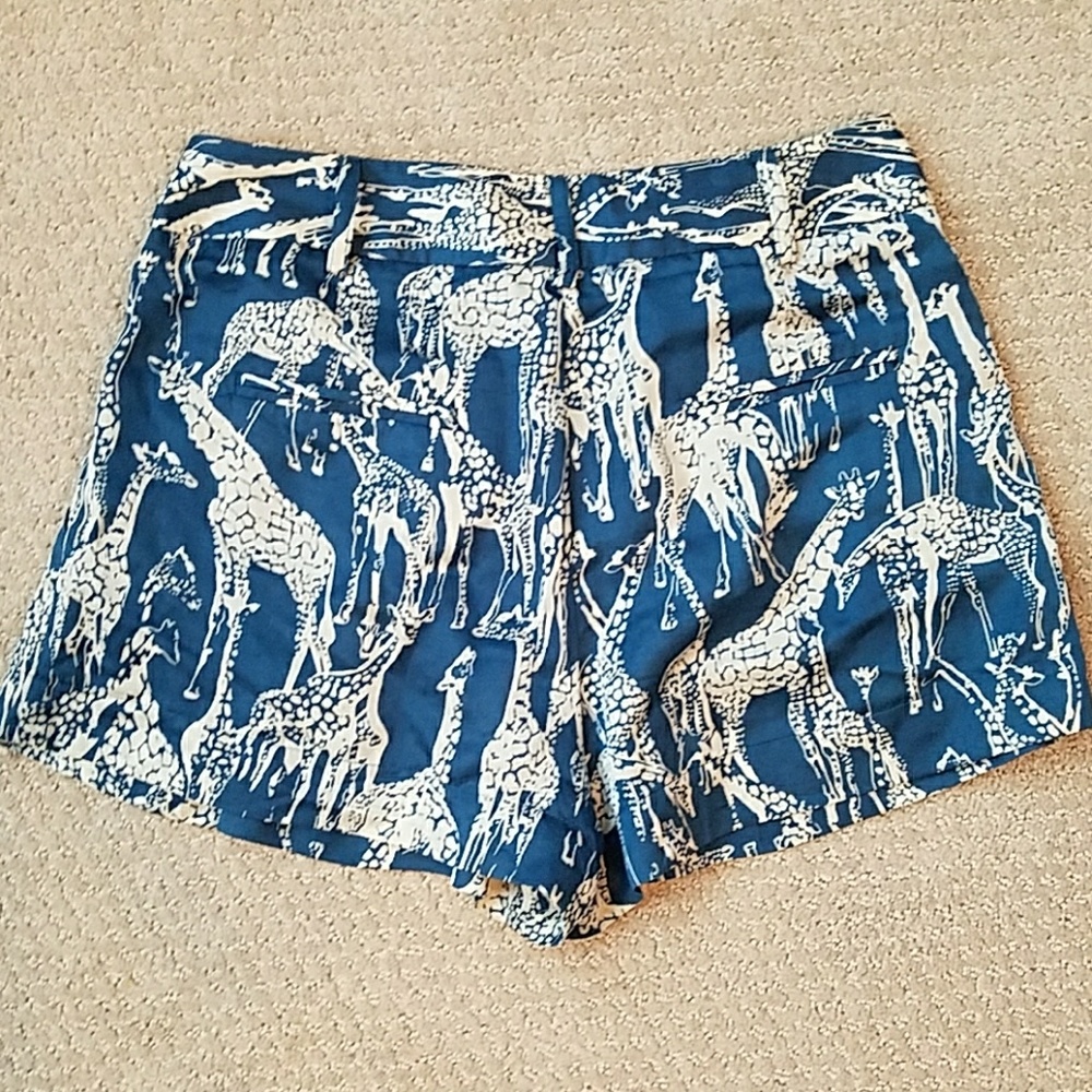Anthro Rift Valley Shorts - Picture 3 of 4